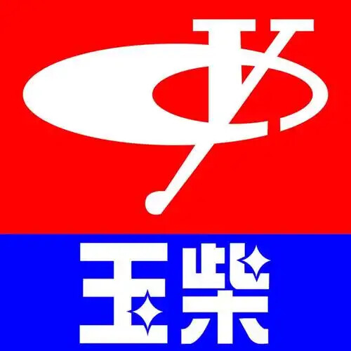 广西 玉柴
